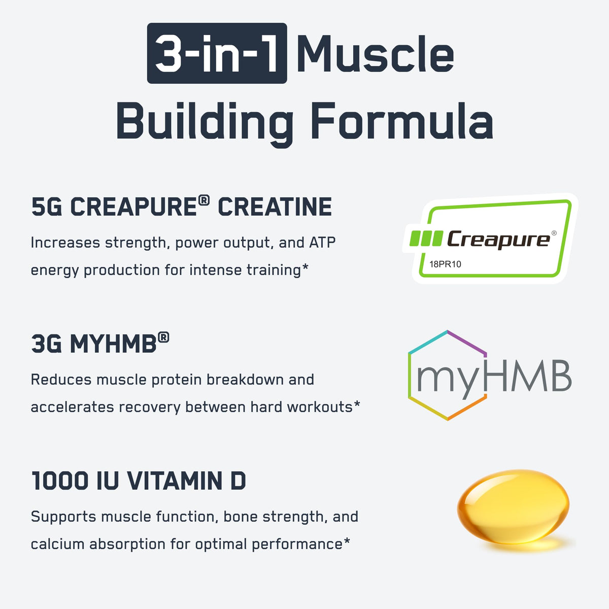 SteelFit Creatine HMB Powder with Creapure - 30 Servings - image 3