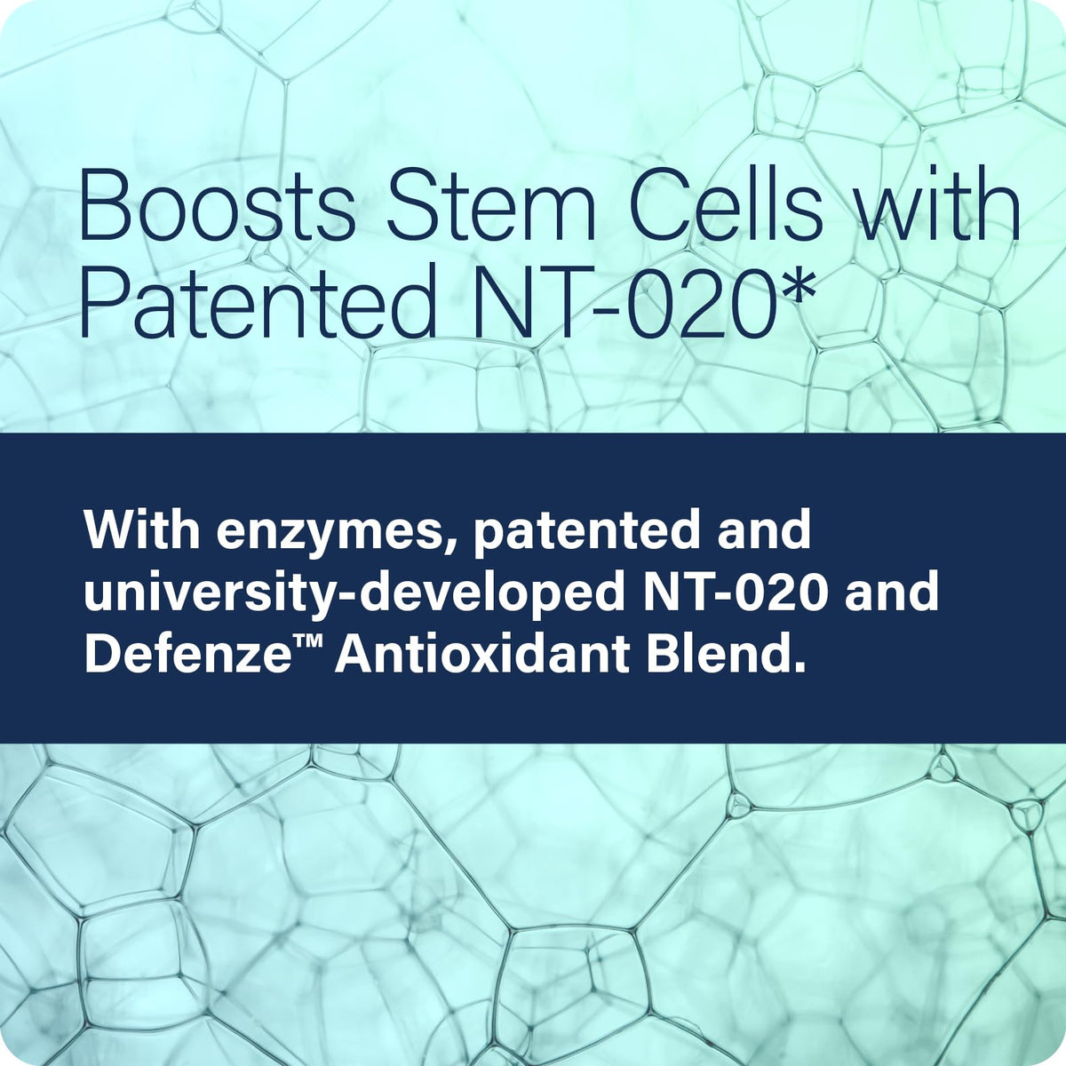 Enzyme Science Stem XCell Pro Antioxidant Support - 60 Capsules - image 4