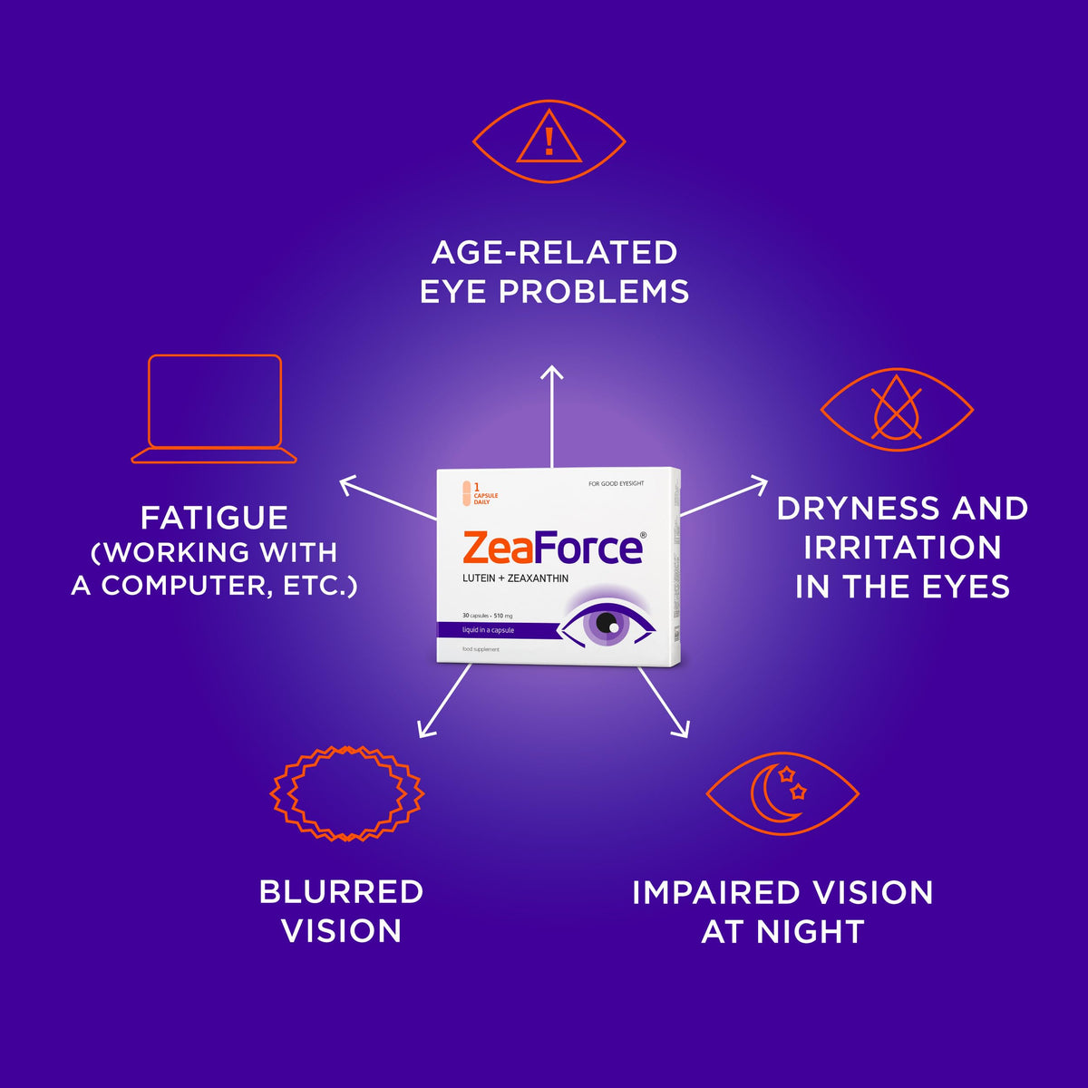 ZeaForce Vision Support Multivitamin - 90 Capsules - image 5