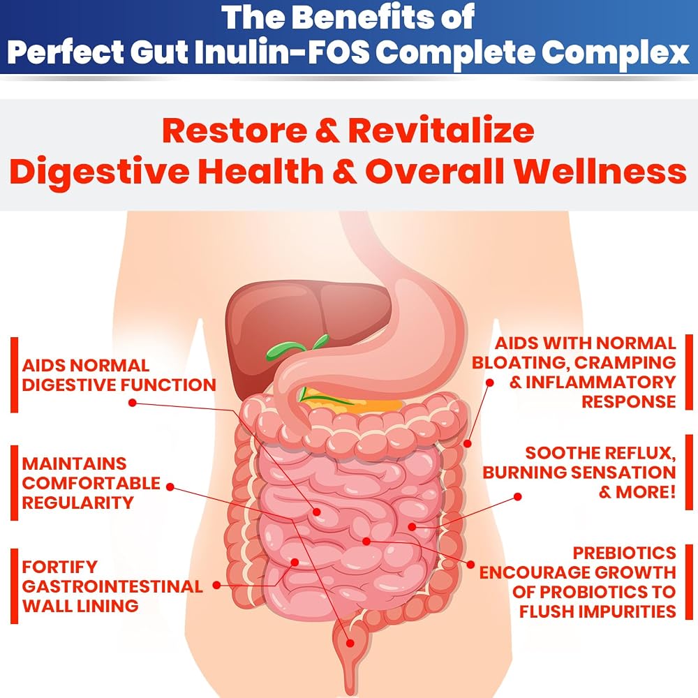 Kidney Restore Perfect Gut Inulin FOS Powder - 2 Pound - image 4