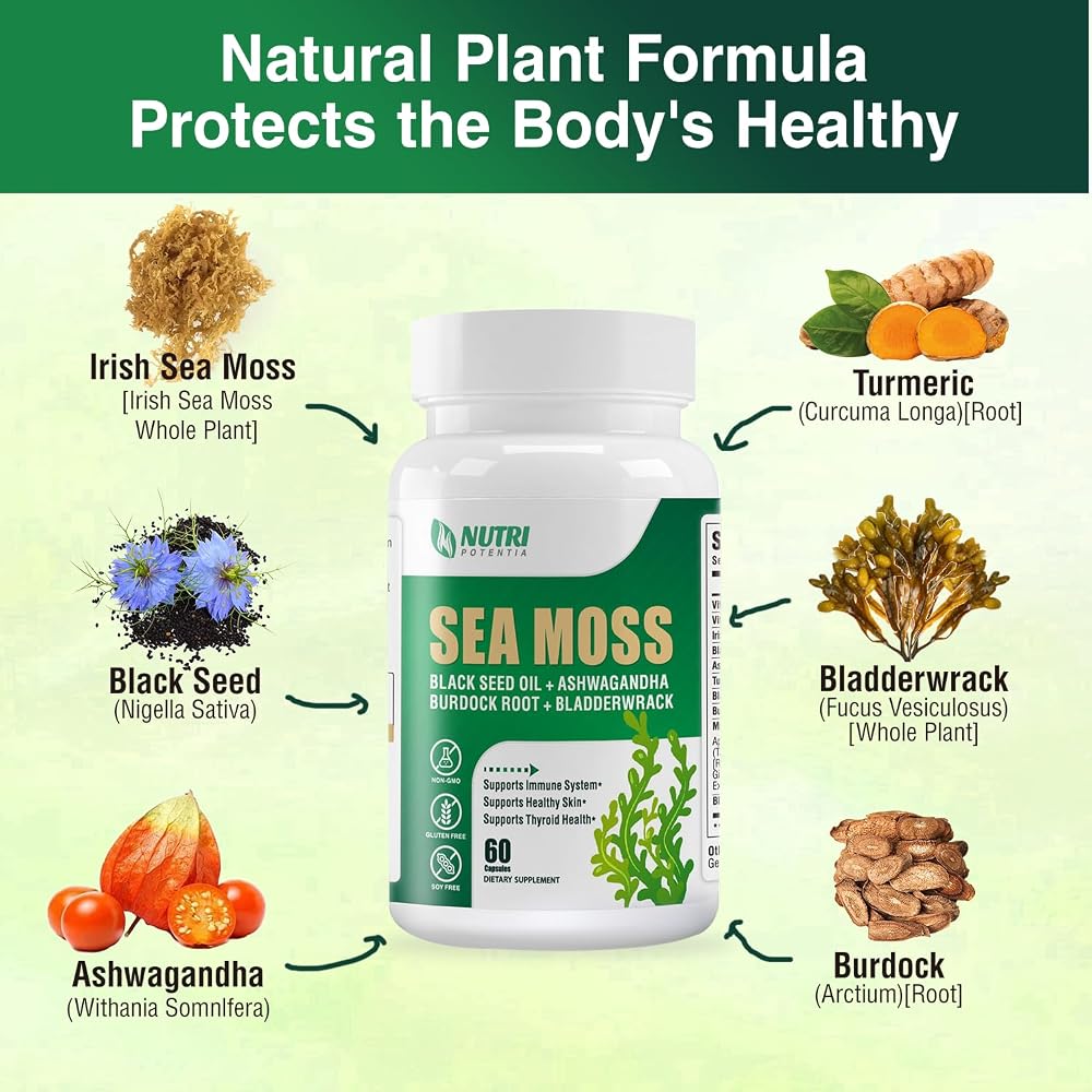 NUTRI POTENTIA Sea Moss Capsules with Ashwagandha - 60 Capsules - image 3