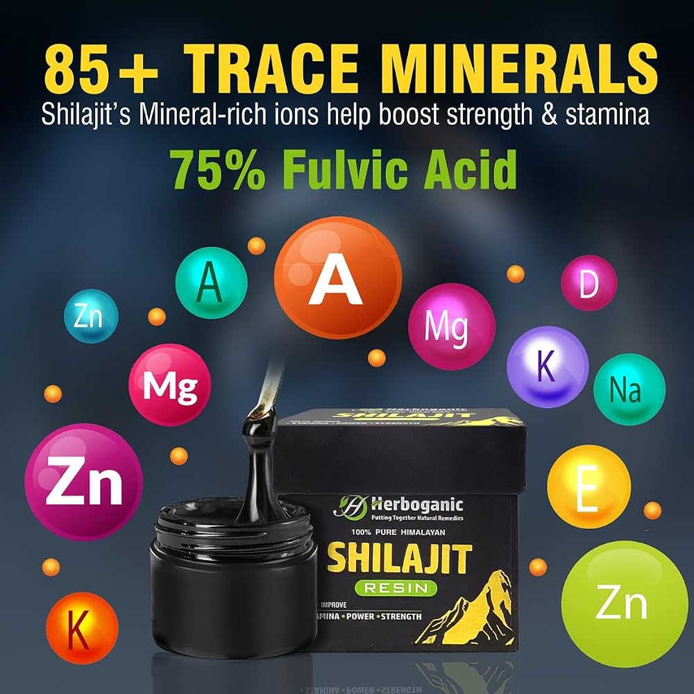 HERBOGANIC Shilajit Resin - 30g - image 4