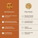 Real Mushrooms Organic Cordyceps Powder for Performance - 150 Servings - image 6