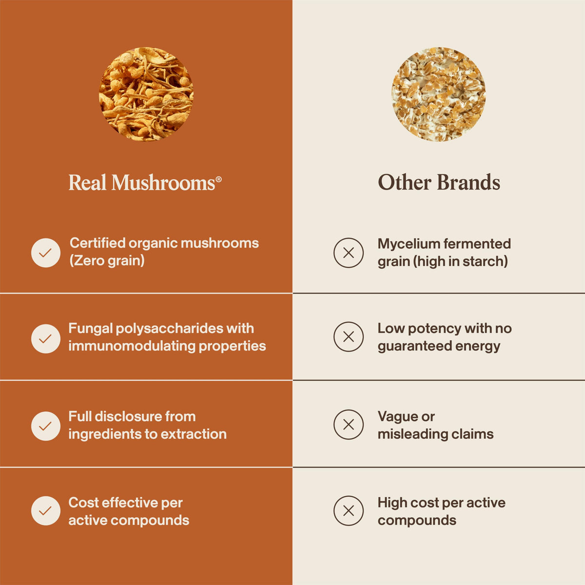 Real Mushrooms Organic Cordyceps Powder for Performance - 150 Servings - image 6