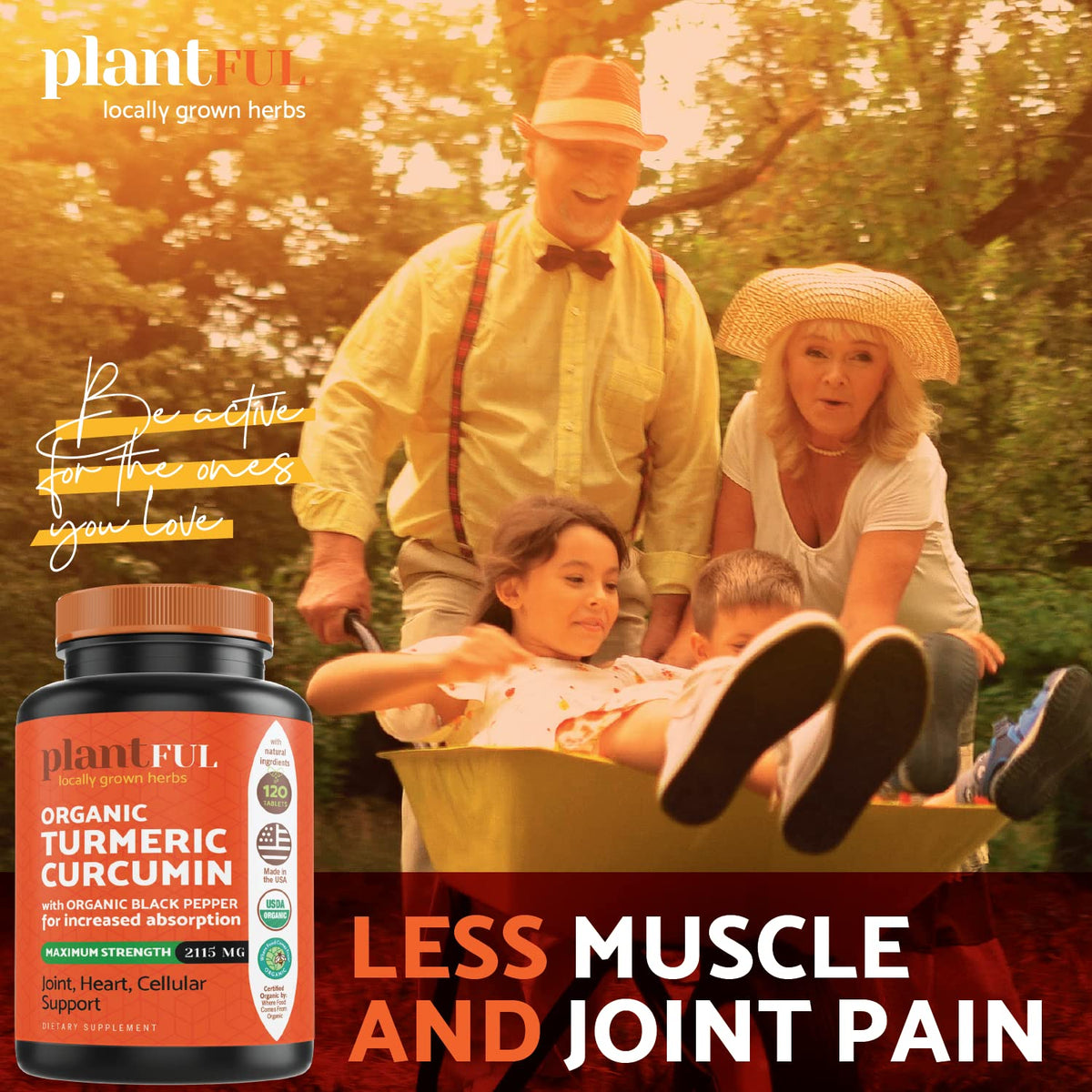 PLANTFUL RESEARCH Organic Turmeric Curcumin 2115mg - 120 Tablets - image 7