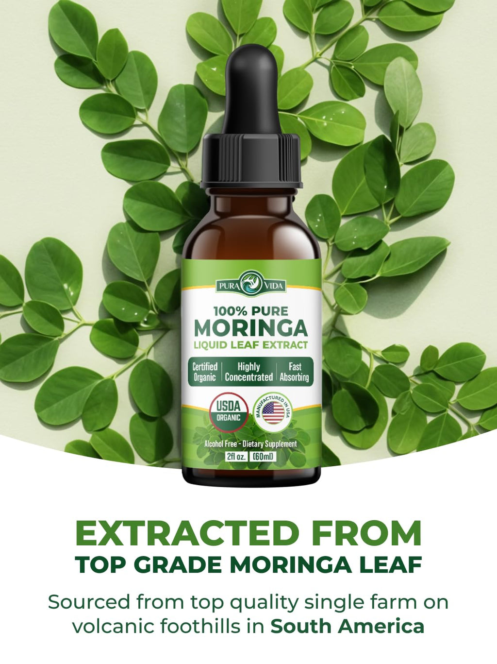 PURA VIDA MORINGA Leaf Extract Liquid Drops - 2 Fl Oz - image 6