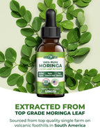 PURA VIDA MORINGA Leaf Extract Liquid Drops - 2 Fl Oz - image 6