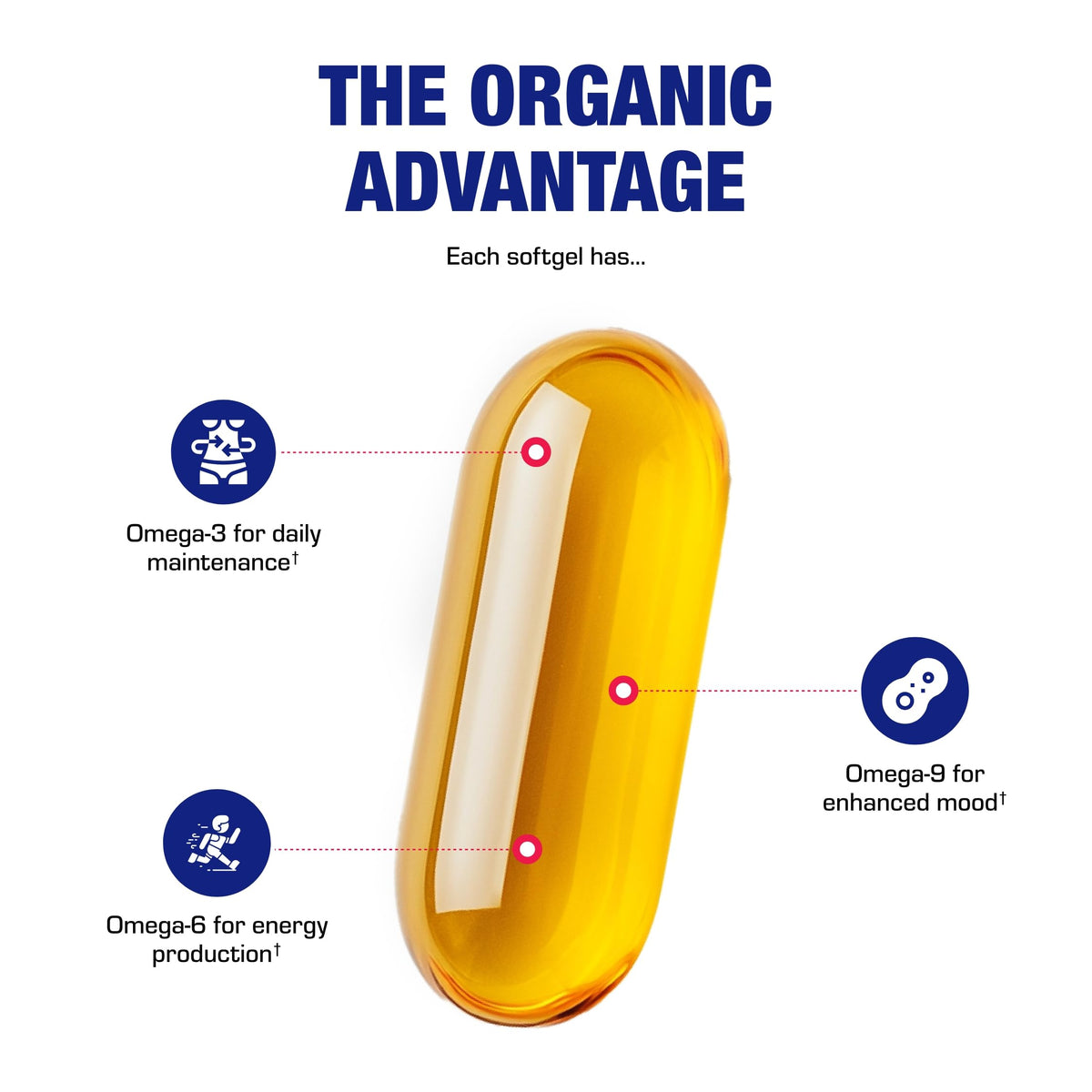 Anabolic Laboratories Flaxseed Oil 1000mg - 180 Softgels - image 5