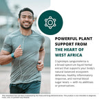 NutraMedix Cryptolepis Liquid Supplement for Immunity Support - 2 Fl Oz - image 4