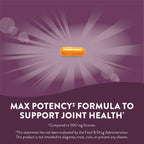 Nature's Way Turmeric Max Potency Extract Joint Support - 120 Vegan Capsules - image 3