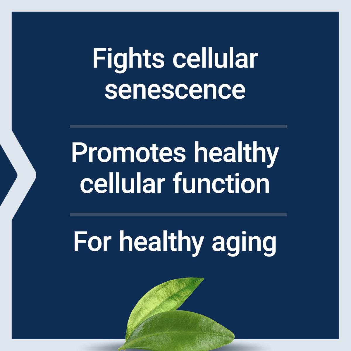 Life Extension GEROPROTECT Ageless Cell - 30 Softgels - image 4