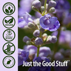 Nature's Answer Chasteberry Vitex 400mg - 90 Capsules - image 5