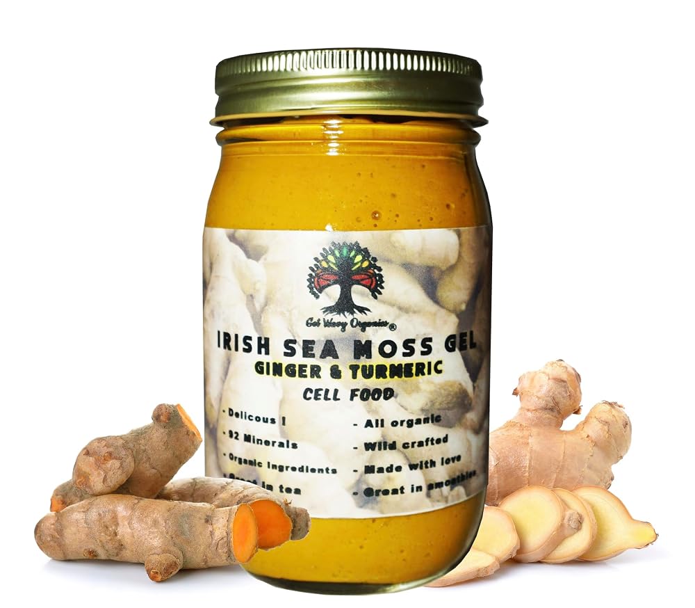 GET WAVY ORGANICS Irish Sea Moss Gel Ginger Turmeric - 1 lb