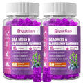 Riyuetian Sea Moss Gummies & Elderberry