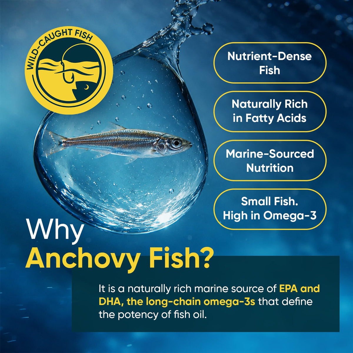 WeightWorld Omega 3 Fish Oil 3000mg EPA DHA - 240 Softgels - image 5