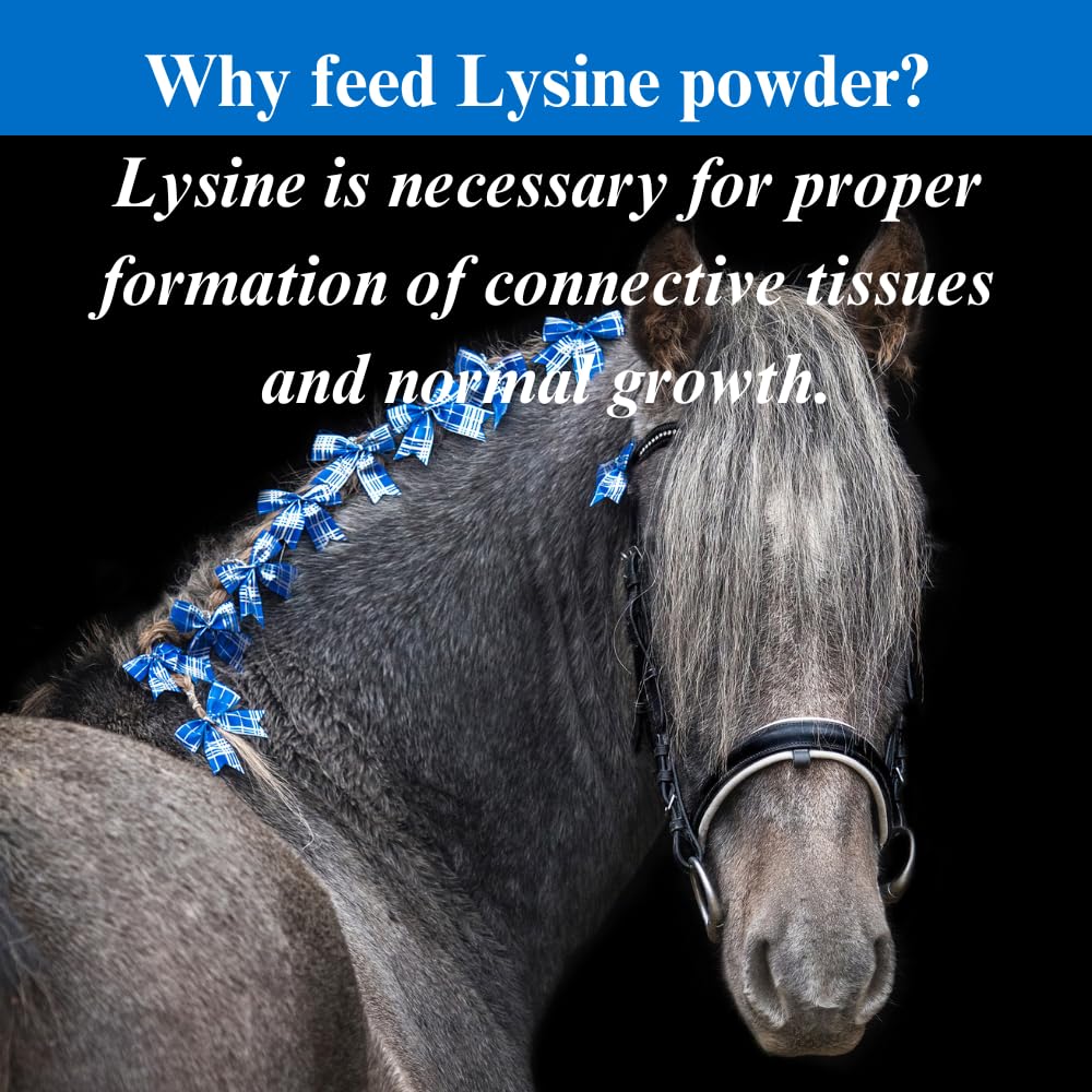 SU-PER Lysine Supplement for Horses - 2.5 Pound Powder - image 4