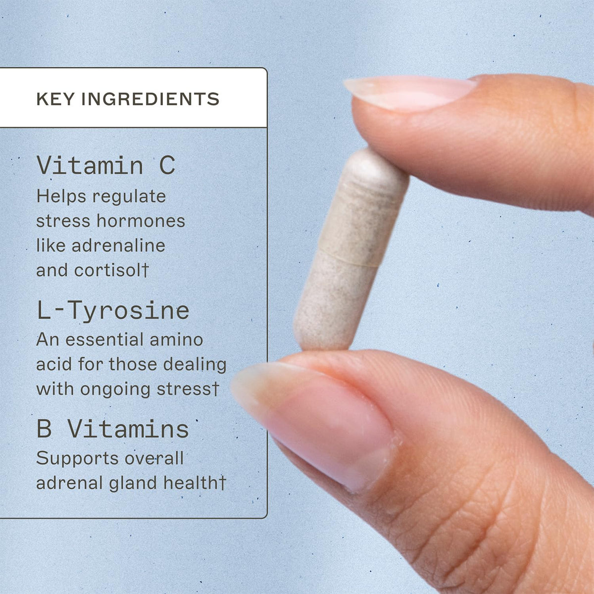 Amy Myers MD Liver Support - 60 Capsules - image 3