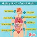 NATURE TARGET Probiotics for Men 60 Billion CFU - 90 Vegetarian Capsules - image 5