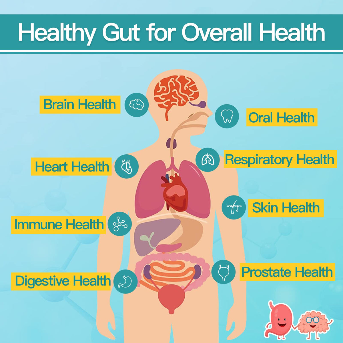 NATURE TARGET Probiotics for Men 60 Billion CFU - 90 Vegetarian Capsules - image 5