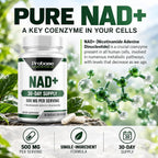 Probase Nutrition NAD Supplement 500mg - 60 Capsules - image 5
