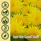 Nature's Answer Dandelion Root Liver Support - 90 Vegetarian Capsules - image 5