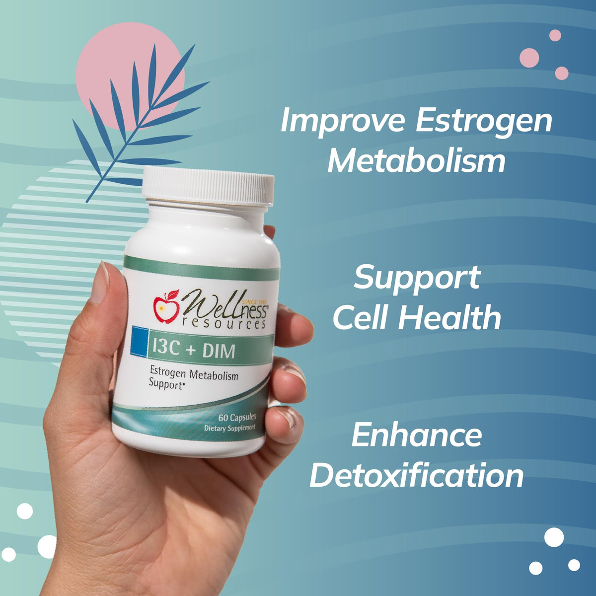 Wellness Resources I3C + DIM Capsules for Estrogen Metabolism - 60 Capsules - image 2