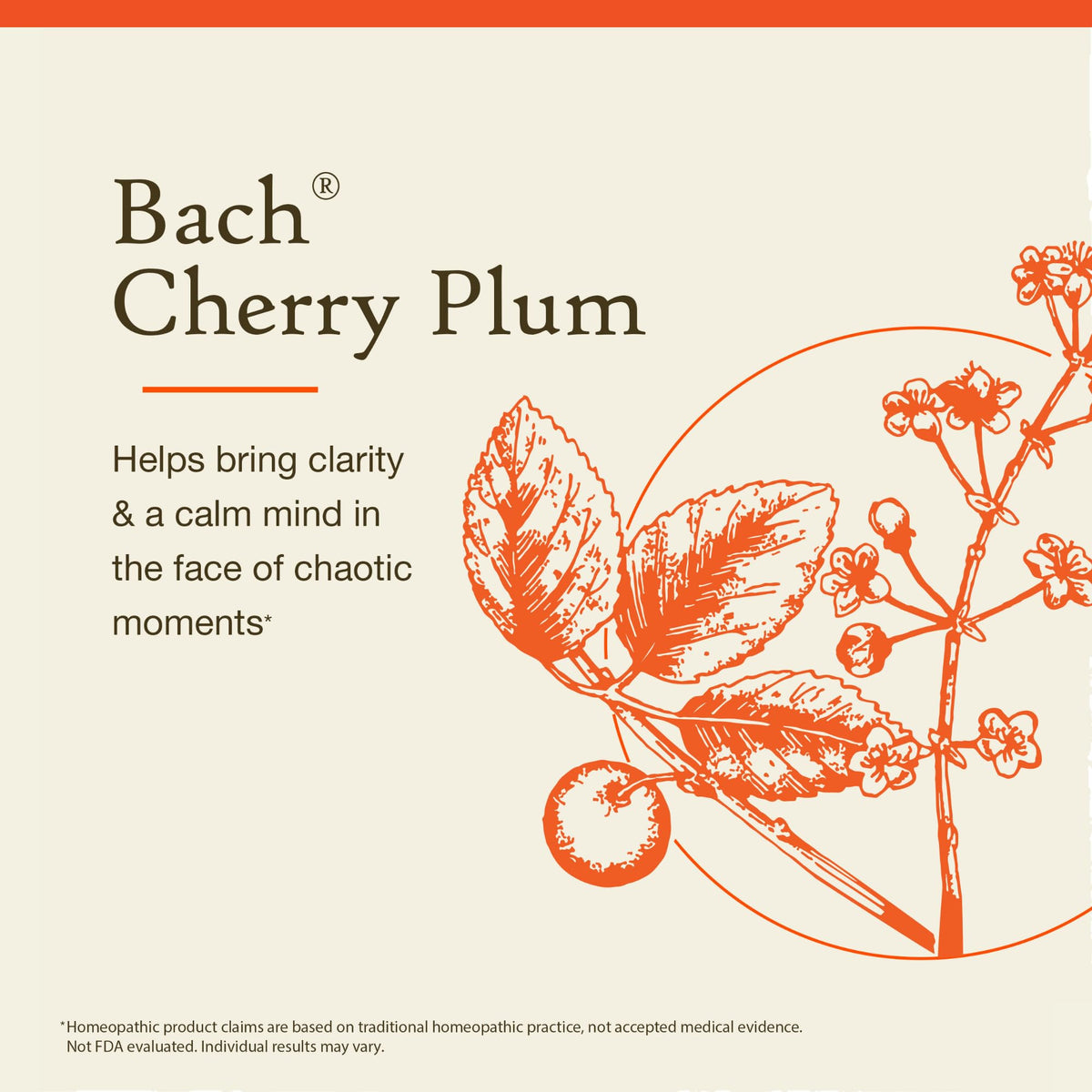 Bach Flower Remedies Cherry Plum - Be in Control - 20mL - image 3