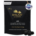 DLNIA KSM-66 Ashwagandha & Himalayan Shilajit Gummies - 90 Count