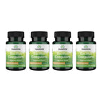 Swanson Bacillus Coagulans - Natural Probiotic Supplement Supporting