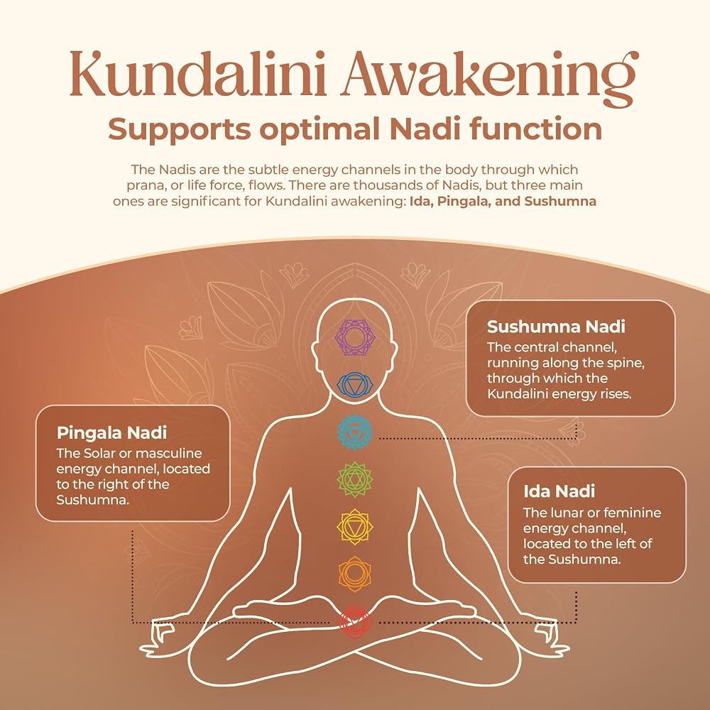 Kailash Herbals Haritaki Kundalini Awakening Herbal Supplement - 100 Capsules - image 6