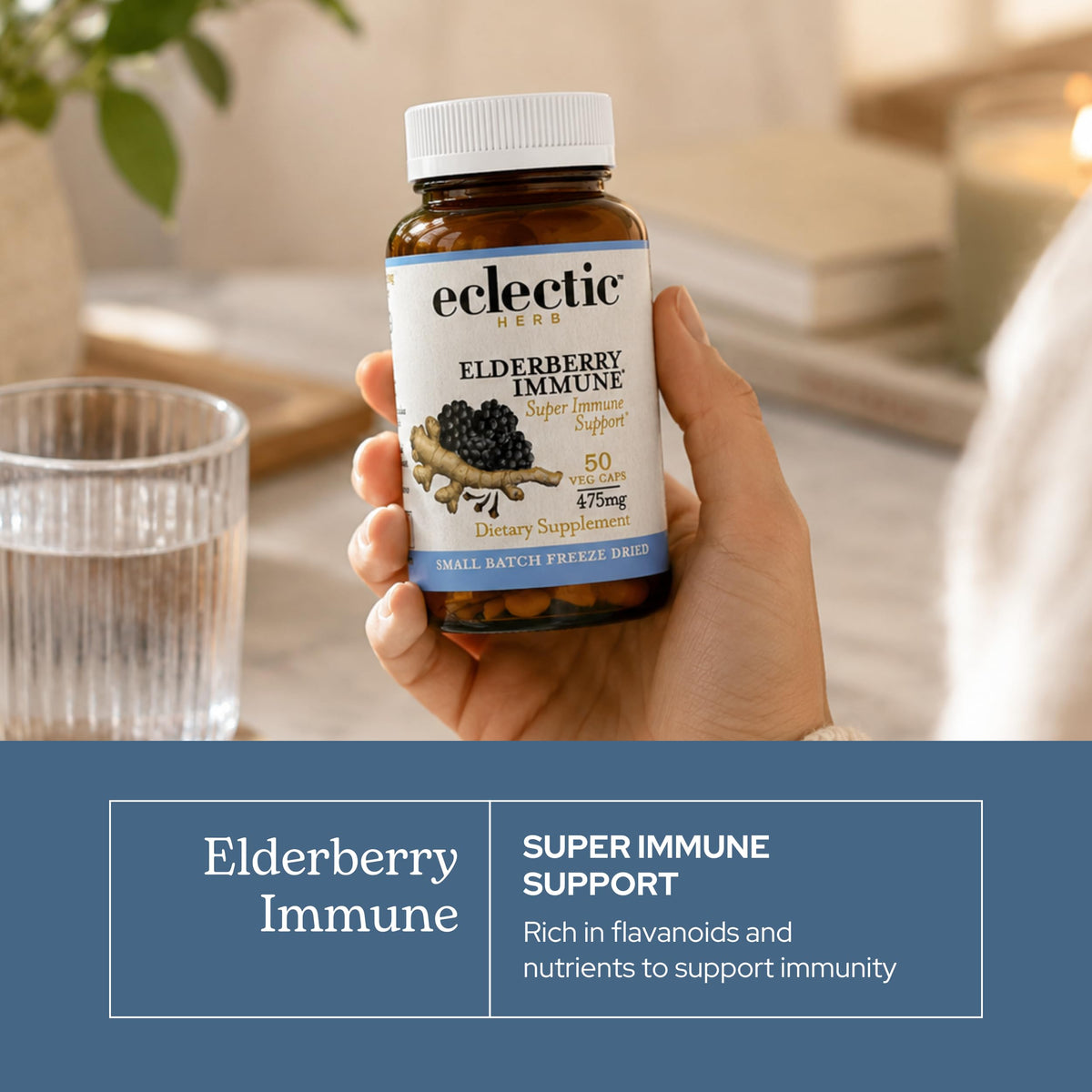 Eclectic Institute Elderberry Immune Capsules - 90 Count - image 3