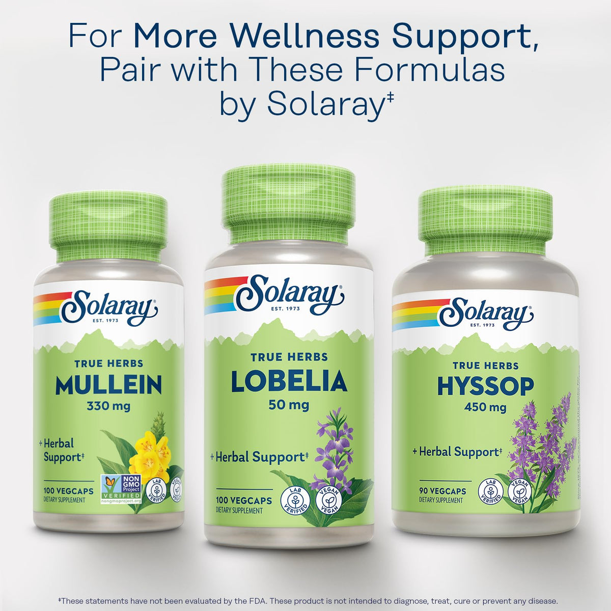 SOLARAY Mullein Leaf 330 mg Herbal Support - 100 Vegetarian Capsules - image 6