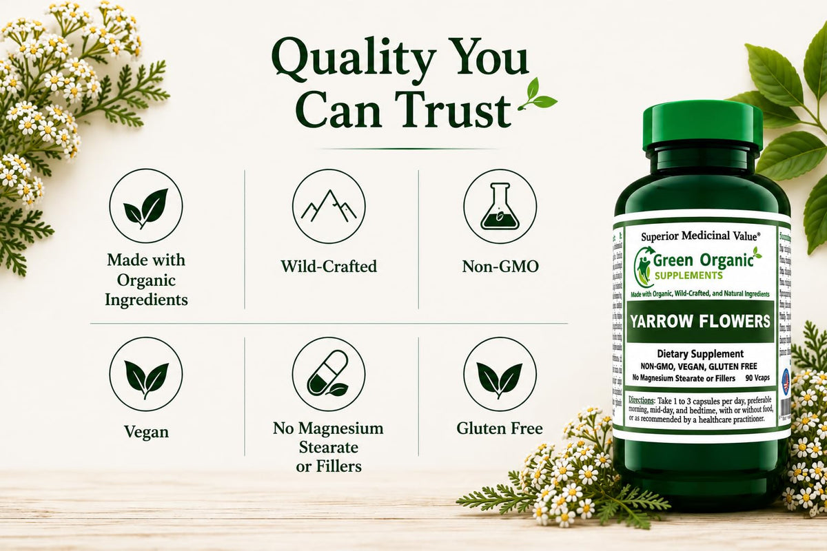 Green Organic Supplements Yarrow Flower - 90 Vegetarian Capsules - image 5