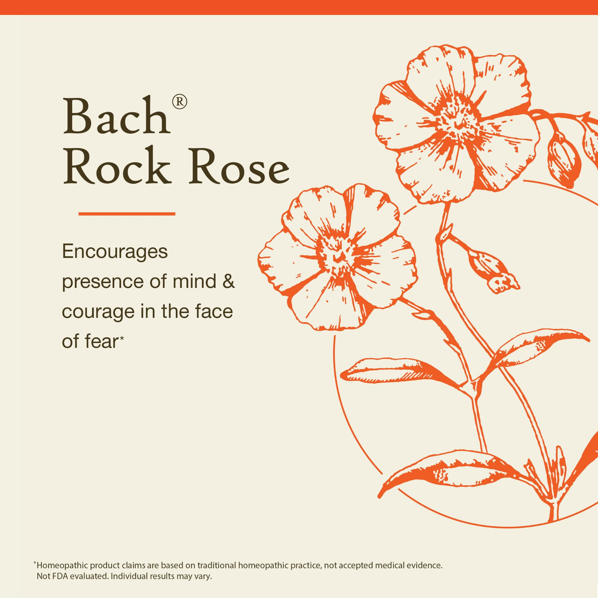 Bach Flower Remedies Rock Rose Drops - 0.35 fl oz - image 3