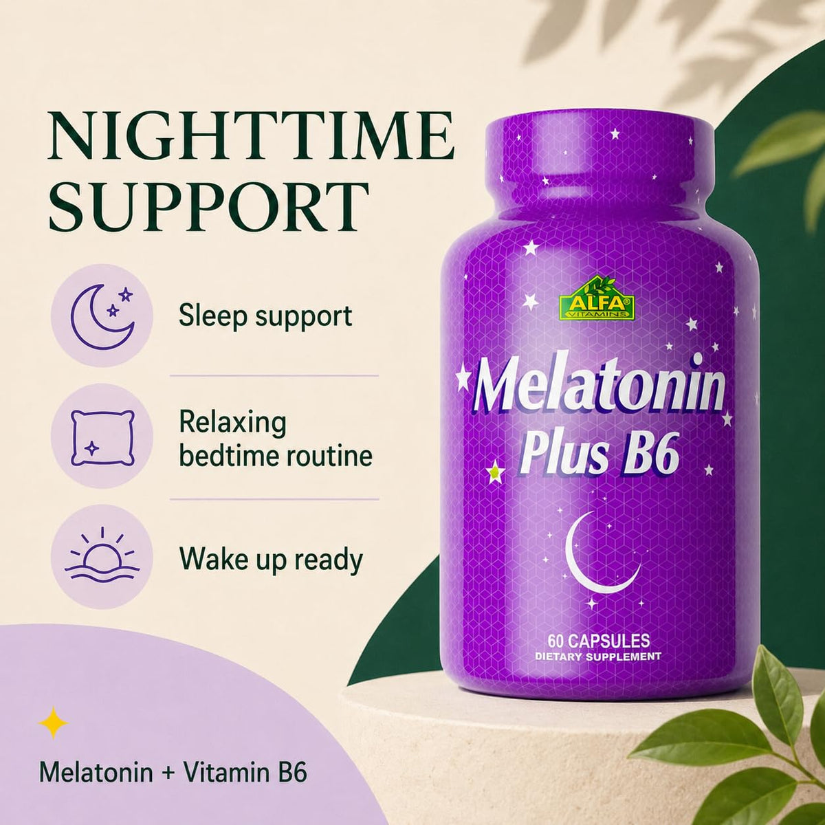 ALFA VITAMINS Melatonin Plus B-6 Sleep Supplement - 60 Capsules - image 2