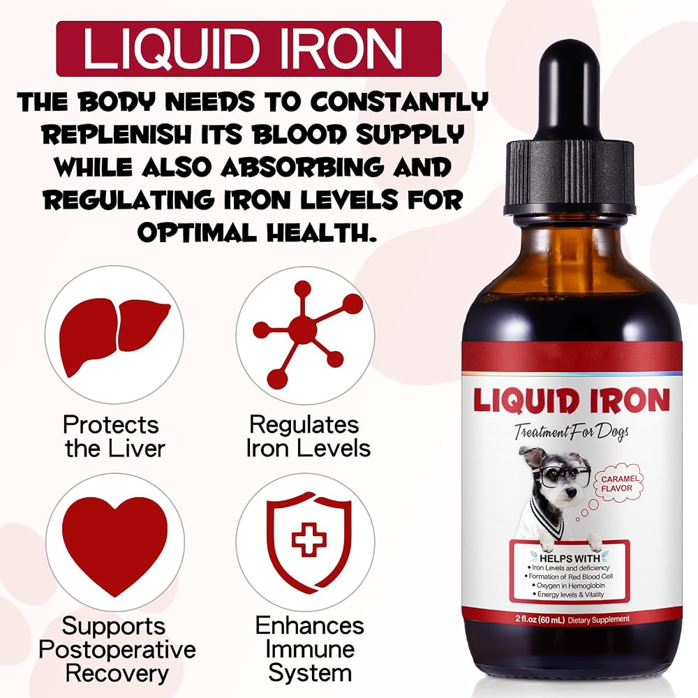 FSLHCY Iron Supplement for Dogs Liquid - 2 fl oz - image 5