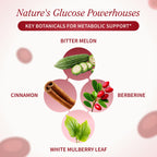Snap Supplements Blood Sugar Blend - Support Healthy Blood Sugar