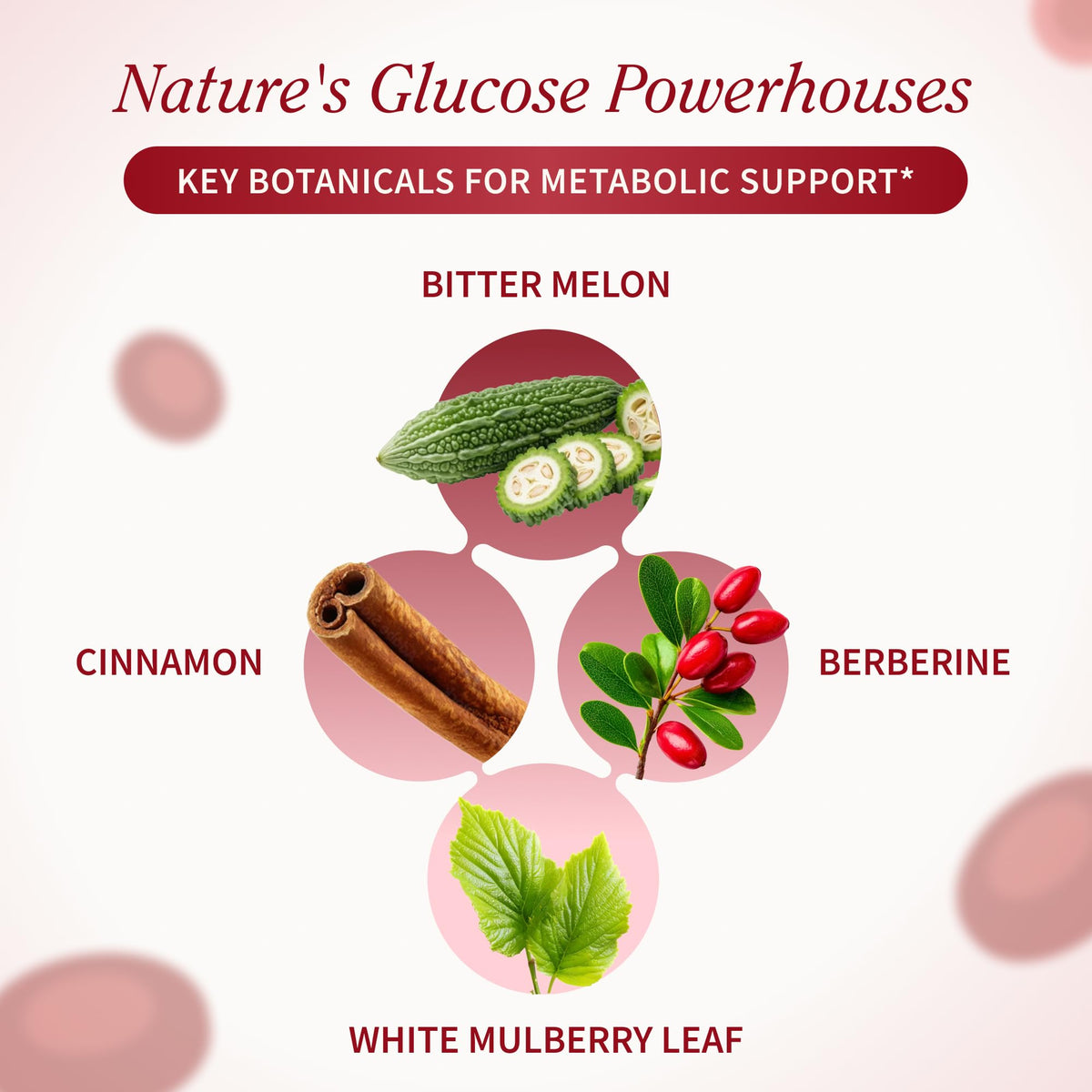 Snap Supplements Blood Sugar Blend - Support Healthy Blood Sugar