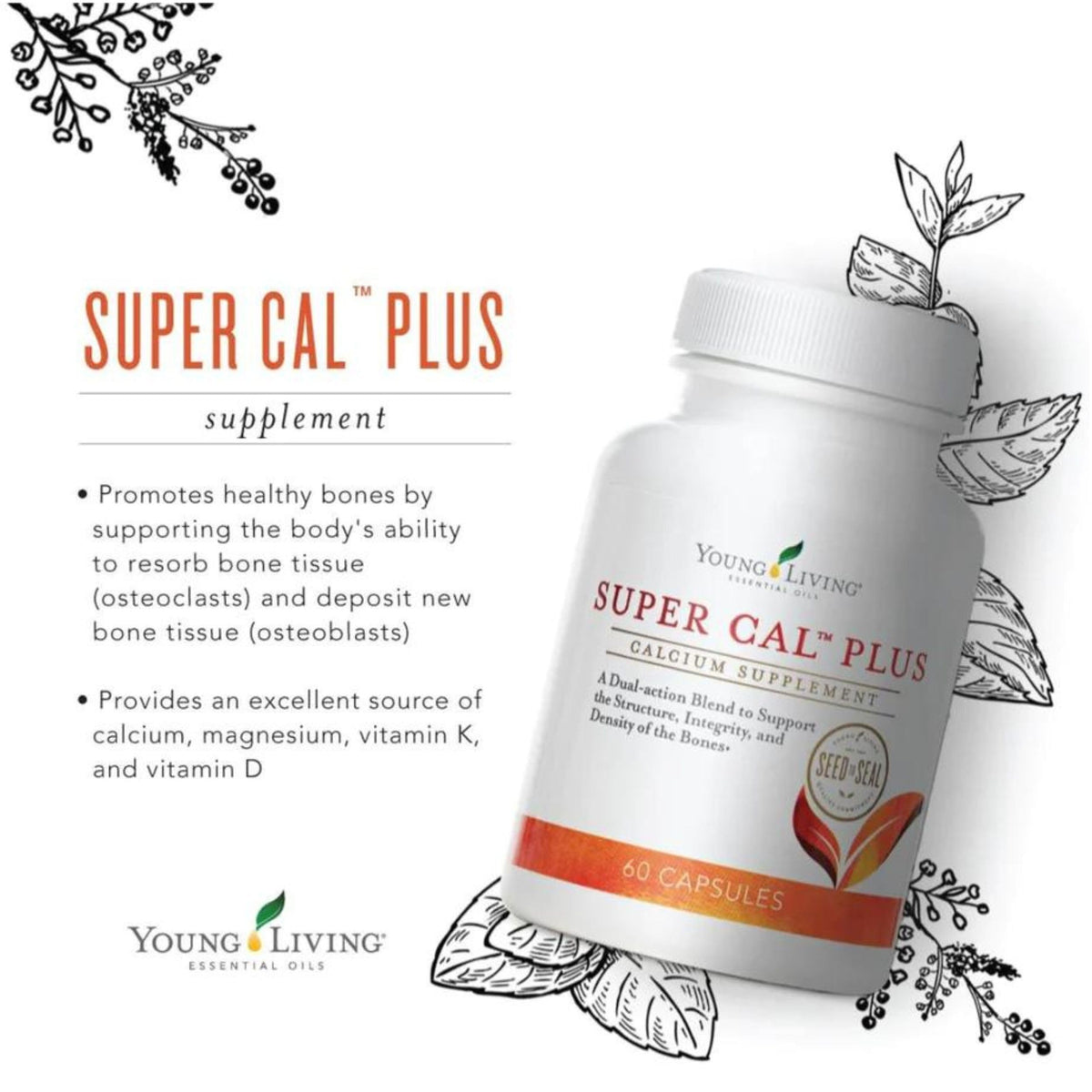 Young Living Super Cal Plus Calcium Mineral Supplement - 60 Capsules - image 3