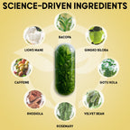 Balanced Vibe Brain Supplement 8 in 1 with Lion's Mane - 90 Capsules - image 3