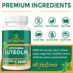 Ulmubra 800 MG Liposomal Luteolin Supplement - Maximum Absorption