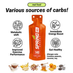 SPRING Energy Real Food Energy Gel - Wholesome