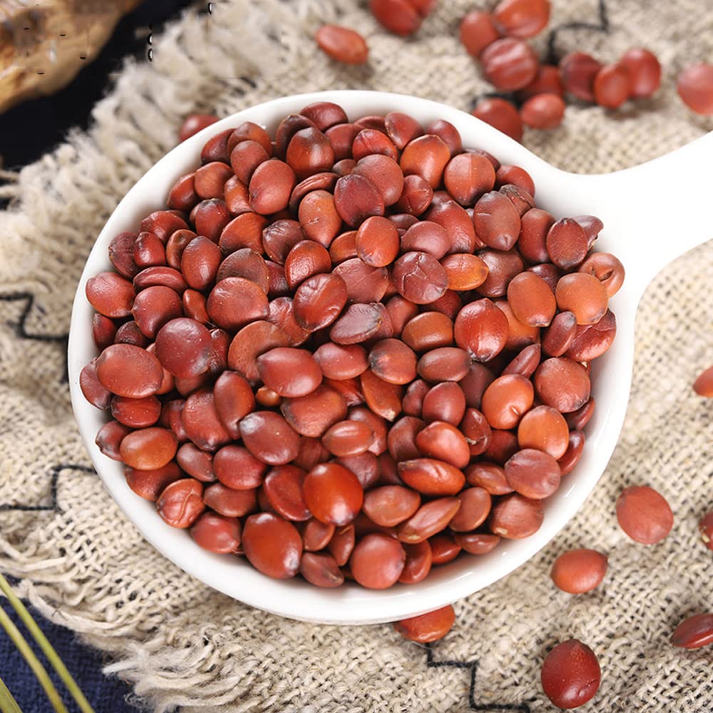 CHEWYZ Zizyphus Jujuba Spine Date Seed - 500 g - image 3