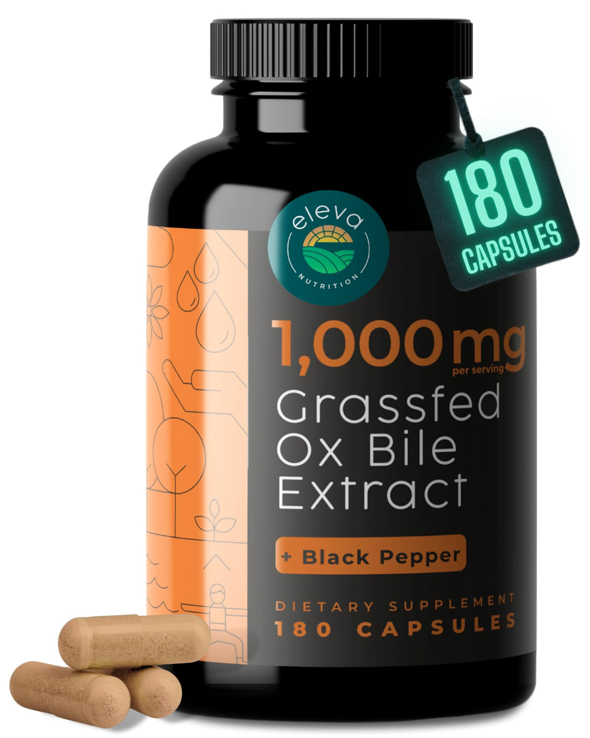 Eleva Nutrition Grass-Fed Ox Bile 1000mg - 180 Capsules