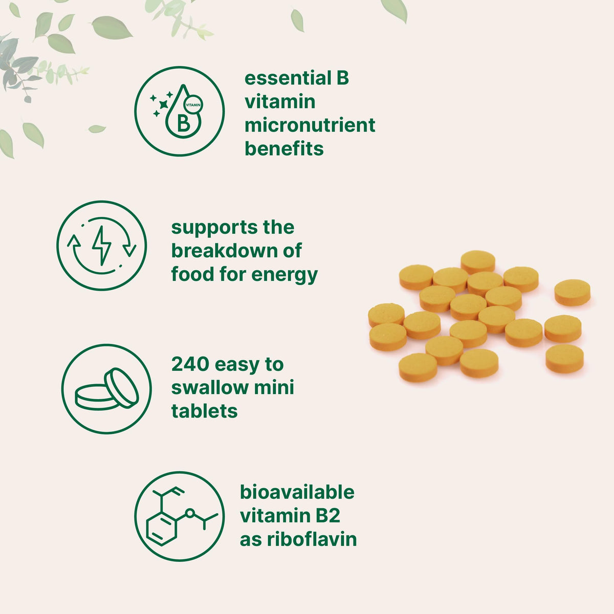 Micro Ingredients Riboflavin Vitamin B2 400mg - 240 Tablets - image 3