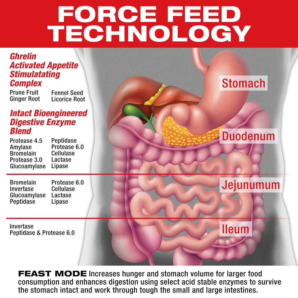 MuscleMeds Feast Mode Appetite Stimulant Weight Gain Pills - 90 Capsules - image 3