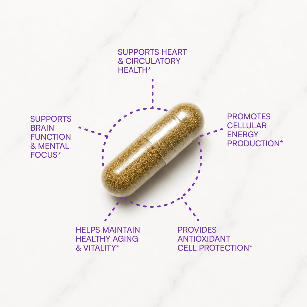 Purity Products CoQ10 Daily Super Boost with Ginkgo - 60 Capsules - image 3