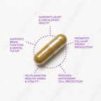 Purity Products CoQ10 Daily Super Boost with Ginkgo - 60 Capsules - image 3