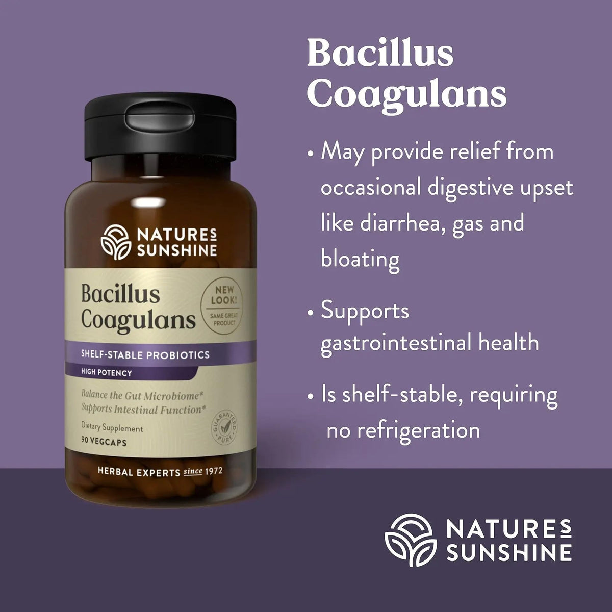 Nature's Sunshine Bacillus Coagulans NutriBiome - 90 Vegetarian Capsules - image 2
