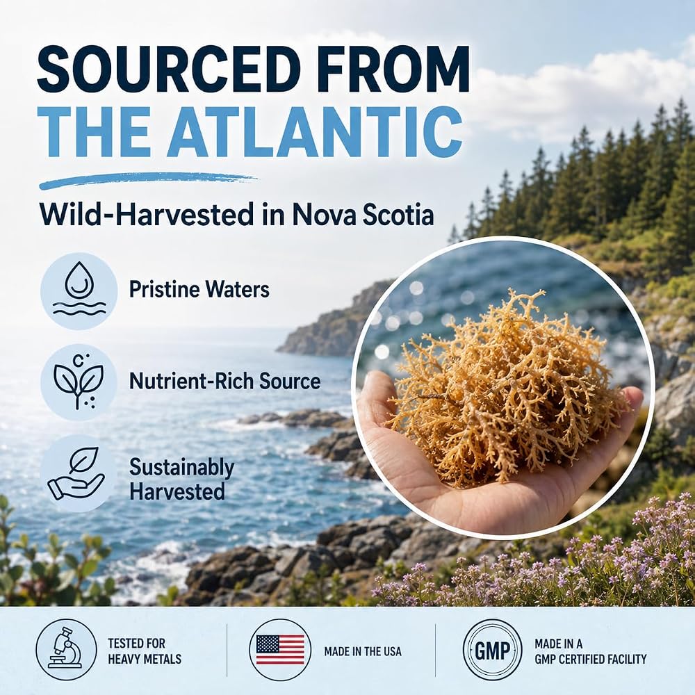 Atlantic Naturals Sea Moss Capsules with Ashwagandha & Ginger - 60 Softgels - image 8